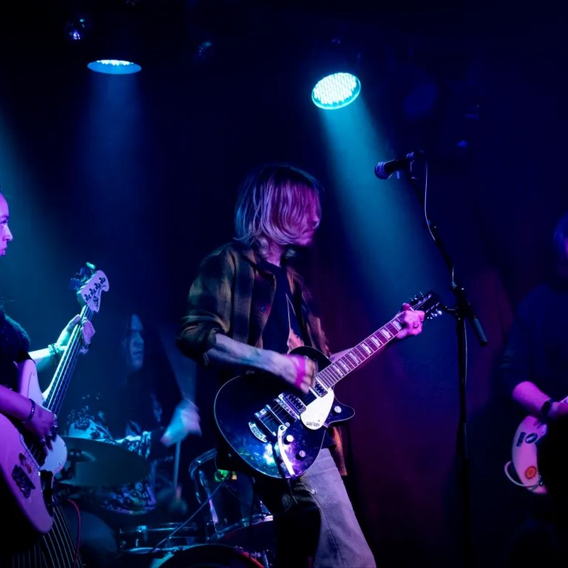 The full band performing live
